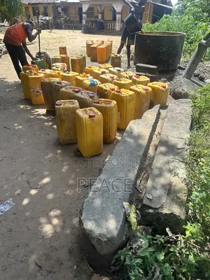 35 Liters of Fresh Palm Oil Available