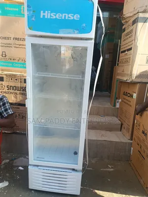 Hisence 256 Litter Chiller