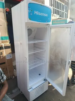 Hisence 256 Litter Chiller