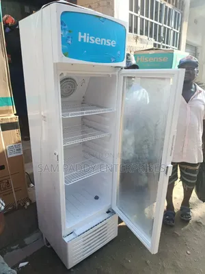 Hisence 256 Litter Chiller