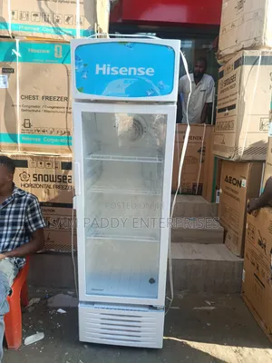 Hisence 256 Litter Chiller