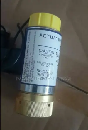 Electrical Actuator