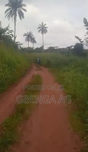 12 Acres of Land Behind International Brew Off Sagamu -Abeokuta Exp