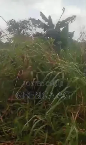 14.9 Acres of Land Near Waterman School After Siun