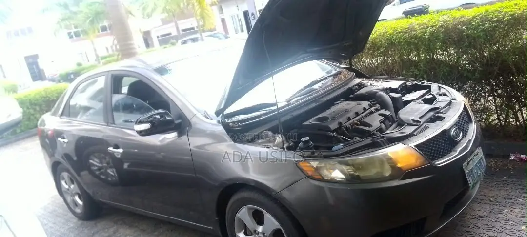 Kia Forte 2010 Brown