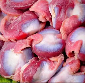 Chicken Gizzard