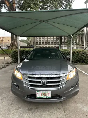 Honda Accord Crosstour EX-L AWD 2010 Gray