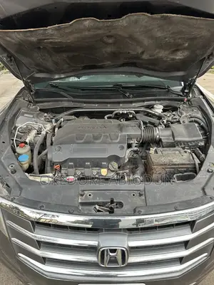 Honda Accord Crosstour EX-L AWD 2010 Gray