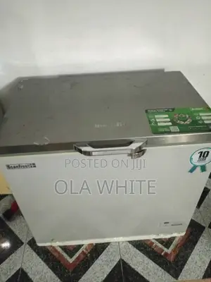 Inverter Freezer 250l Almost New