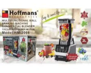 Hoffmans Multifunctional Wall Breaking Machine Blender