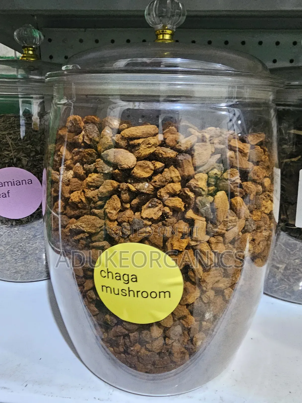 Chaga Mushroom Whole Cut 100g Pack
