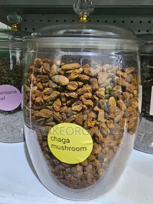 Chaga Mushroom Whole Cut 100g Pack