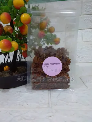 Chaga Mushroom Whole Cut 100g Pack
