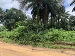 Nicely Located Land for Sale