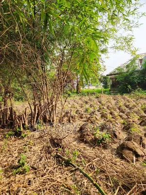4 Plots of Land for Sale at Usiefurun Town