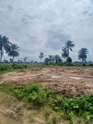 Plots of Land for Sale at Woji-Alesa Link Road
