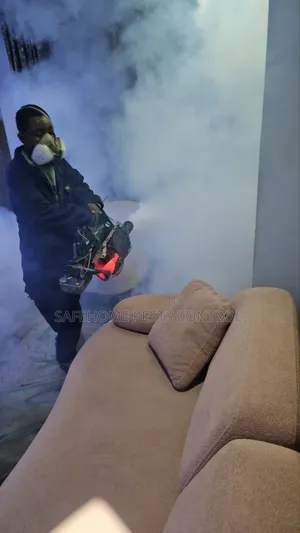Affordable Pest Control Services in Lagos