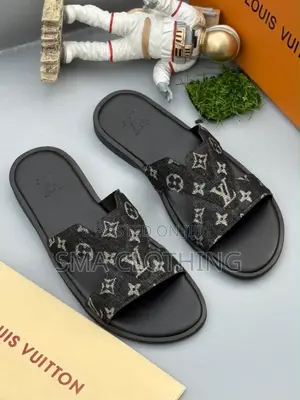 *Louis Vuitton *