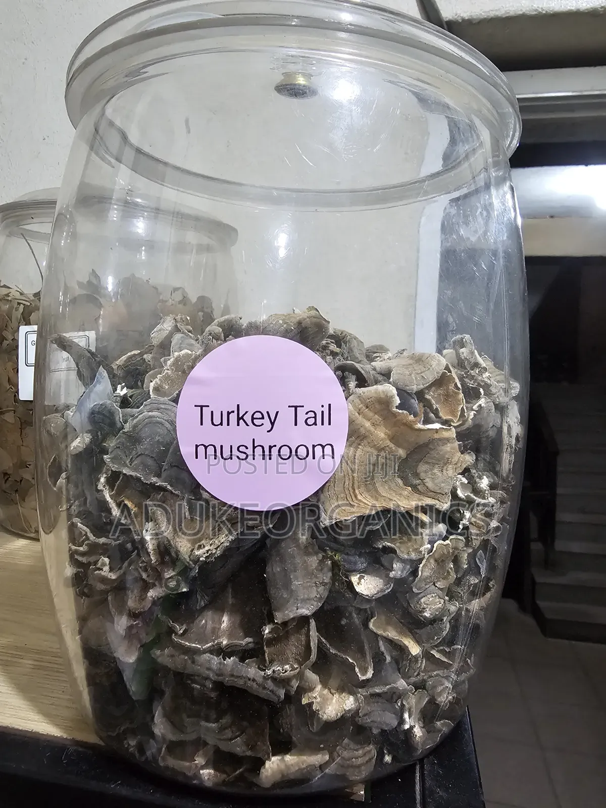 Turkey Tail Mushroom Whole 100g Pack