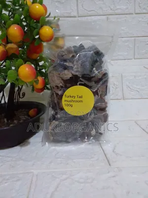 Turkey Tail Mushroom Whole 100g Pack