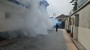 Ant Control Insect Treatment Lagos