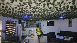 Ant Control Insect Treatment Lagos