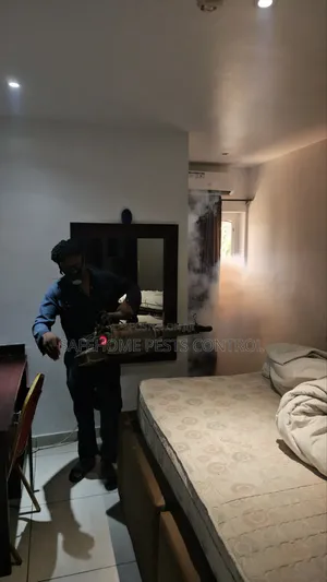 Serious Rat Infestation? Professional Control Lagos