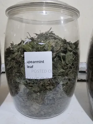 Spearmint Leaf 100g Pack