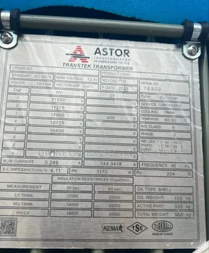 100kva/11kv/400v Astor Transformer
