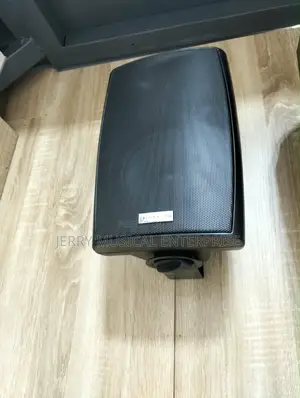 Luckytone Hanging Speakers With Woofer and Bass