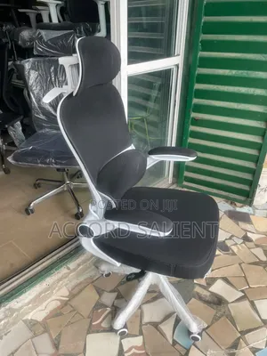 Executive Ergonomic Office Chair