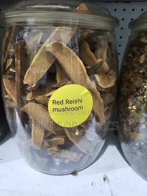 Red Reishi Mushroom Slice 100g