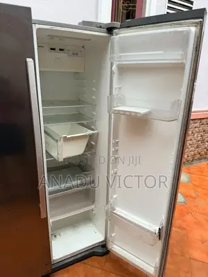 This Is a LG Standing Refrigerator