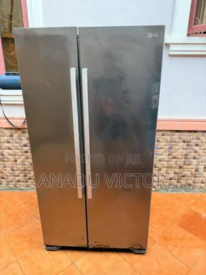 This Is a LG Standing Refrigerator