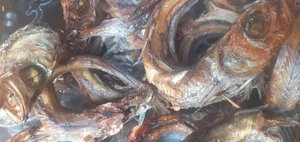 Fresh Oven Grill Fish