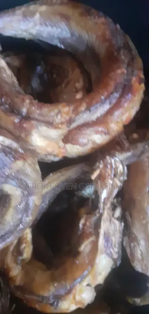Fresh Oven Grill Fish