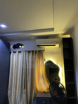 New Apartment