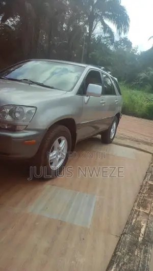 Lexus RX 2003 Silver