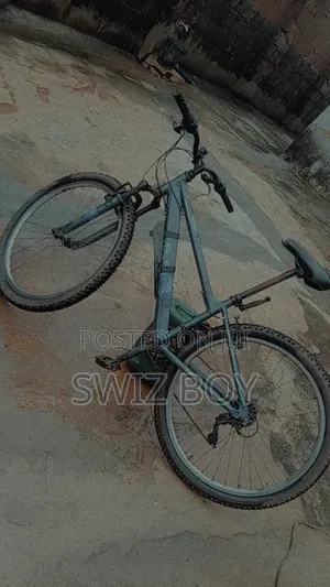 Good and Affordable Bicycle
