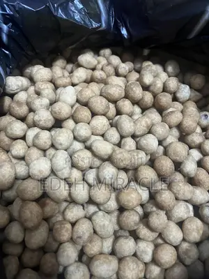 Sweet Peanut Available