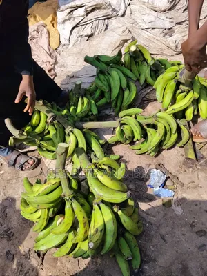 Crunchy Plantain Chips in Port Harcourt — Bulk Retail