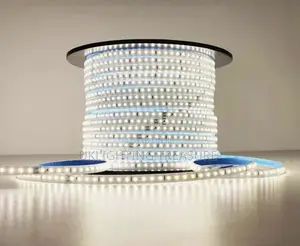 Rope Light