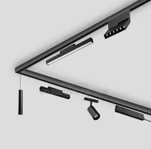Magnetic Track Light
