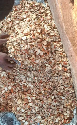Ador Ogbono