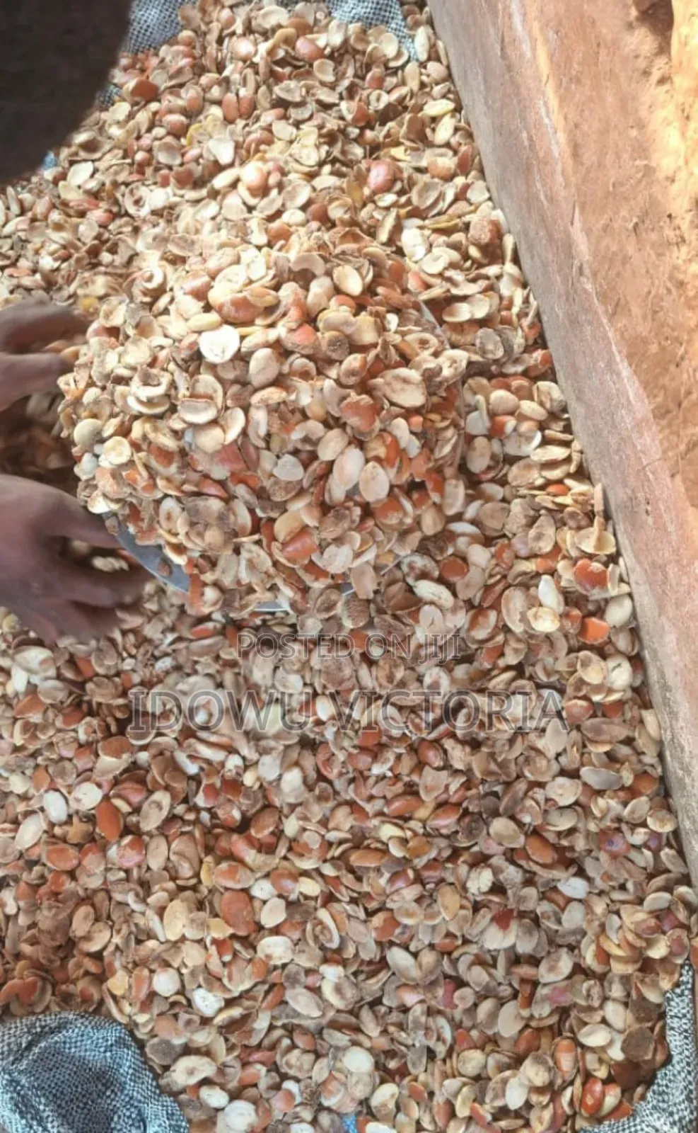 Ador Ogbono