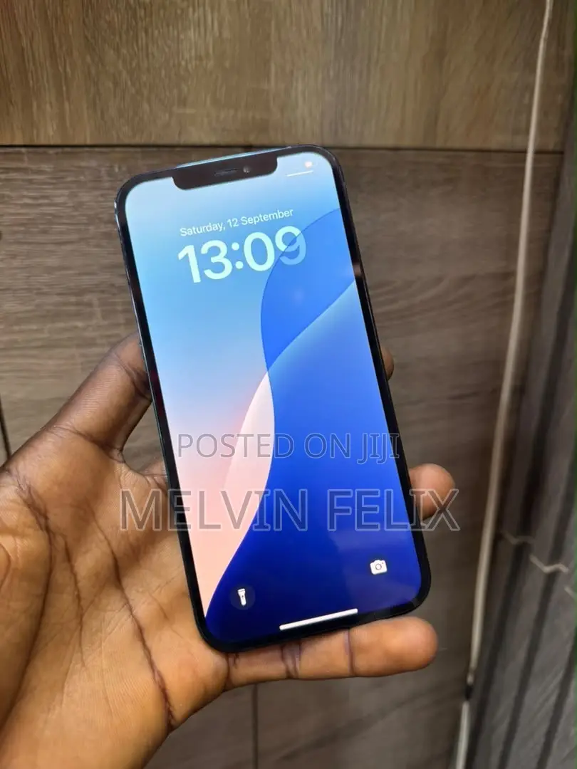 Apple iPhone 12 Pro Max 256 GB Blue
