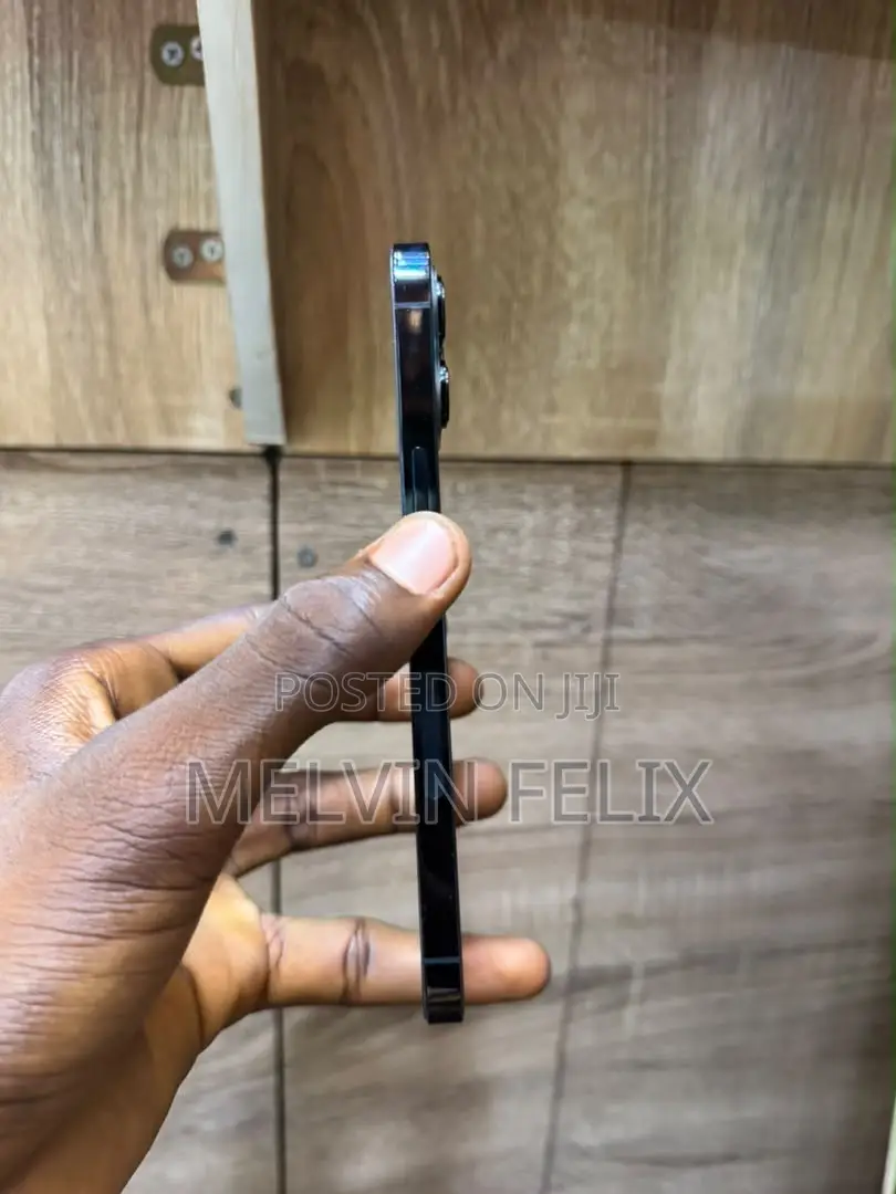 Apple iPhone 12 Pro Max 256 GB Blue