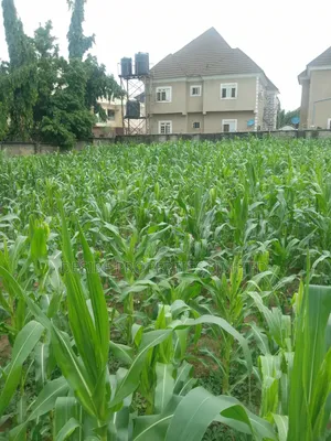 Land for Sale in Lugbe by Police Signboard Axis