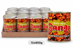 Pally Agro Banga Palm Fruits Extracts 12x800g