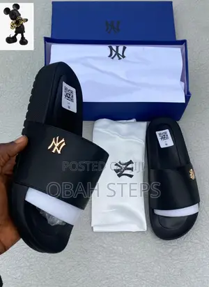 Zanotti Slides Now Available